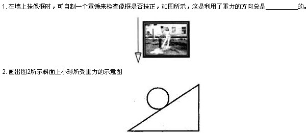 初中物理重垂线实验